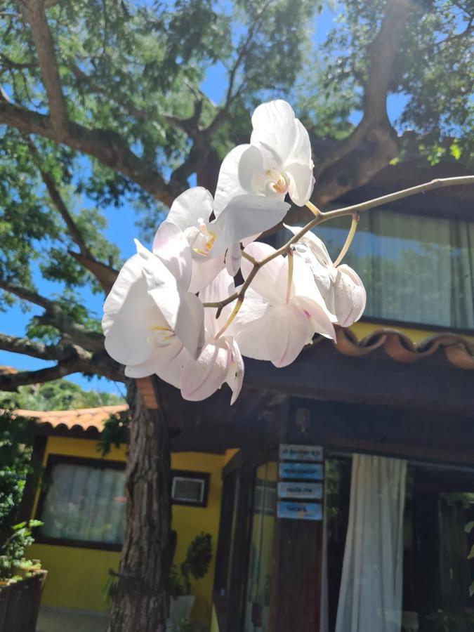 Casa Ferradura Com Hidro,piscina E 500 Metros Da *